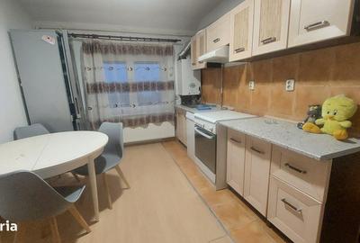 Apartament cu 3 camere decomandat în Cetate - 7
