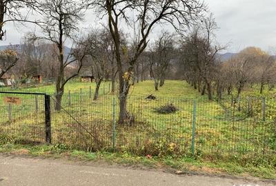 Teren de 1500 mp, în Corbi - 4