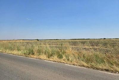 Teren extravilan Smardioasa, cota 1/6, ID: R2688427 - 11