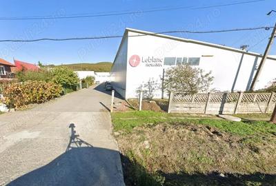 Proprietate cu multiple hale, de vanzare in comuna Baicule?ti, jude? Arge?. - 1