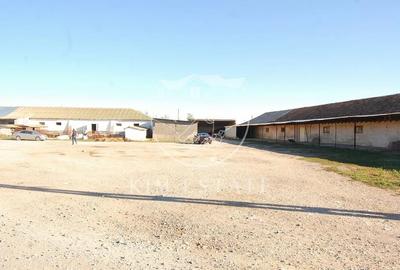 De vanzare ferma N.Balcescu - 6