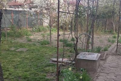 Casă cu 3 camere cu Teren 530 Mp în Central - 3