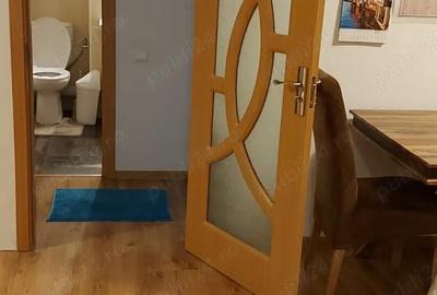 Apartament cu 2 camere semidecomandat în Ozana - 10