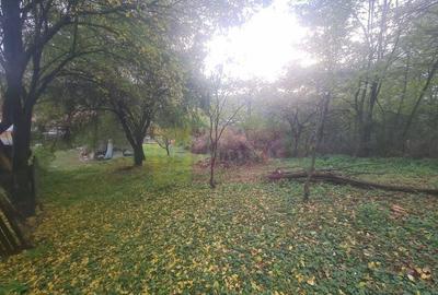 Casa batraneasca cu teren (4.910 mp) la Alunis - 4