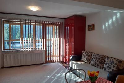 Apartament cu 2 camere decomandat în Sud - 10