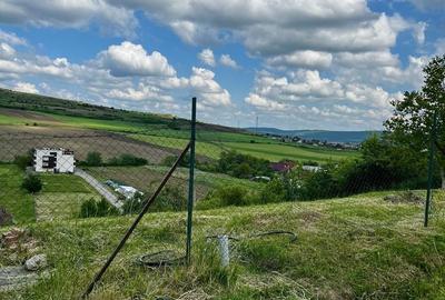 Teren de 600 mp, în Bărdești - 6
