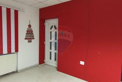Casă individuală cu 3 camere cu Teren 2175 Mp în Mailat - 5