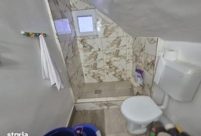 Casă cu 2 camere cu Teren 5135 Mp în Dobreni - 9