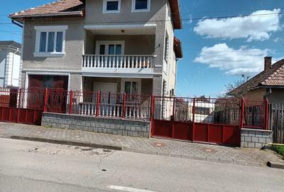 Casa individuala de vanzare Alba Iulia