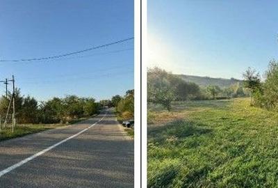 Teren partial intravilan Romani, judetul Neamt, ID: R2326723 - 6