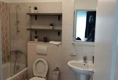 Ap la intrare in Dumbravita - 1