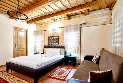 Pensiune traditionala cu clientela formata, Viseu de Sus, Ma - 3