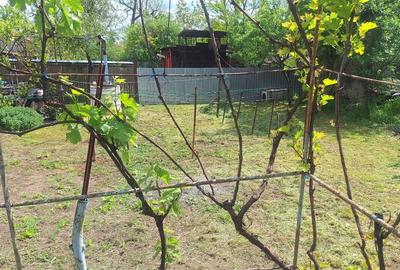 Casă individuală cu 3 camere cu Canalizare în Gârbovi - 5