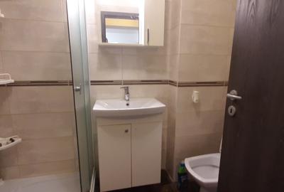 Apartament cu 2 camere decomandat, mobilat în Berceni - 7