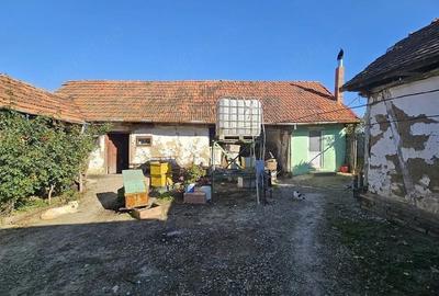 Casă cu Teren 3000 Mp în Honorici - 2