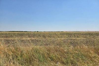 Teren extravilan Smardioasa, cota 1/6, ID: R2688427 - 1