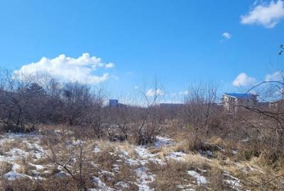 EXCLUSIVITATE! TEREN UNICAT 5831MP ZONA MAMAIA NORD - 5