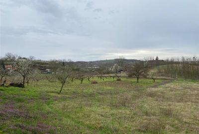 RECO Casa in  Diosig 2cam  30km de Oradea - 7