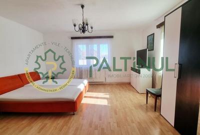 Casă cu teren generos 802 mp - Cartier Turnișor, Sibiu - 5