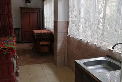 Casă cu 3 camere în Roșia de Secaș - 4