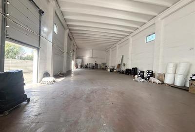 Hala  700 mp - teren 3998 mp - Nufarul - 3