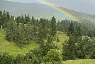 Spațiu comercial, în Glodu - 6