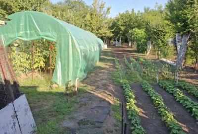 Casă cu 3 camere cu Teren 200 Mp în Chitila - 9