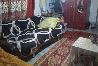 Casa de vanzare Vidin Braila ( Pisc ) 5 camere ( +1 camera micuta ) - 12