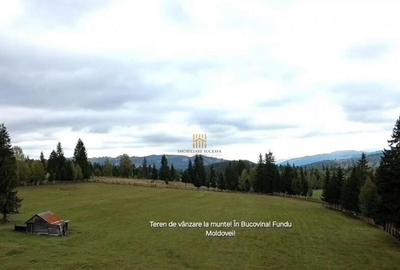Teren 2804 mp, la munte! In Bucovina Fundu Moldovei! - 11