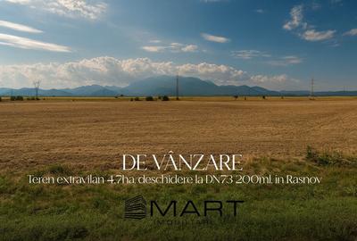 Teren agricol de 47000 mp, în Primăverii - 1