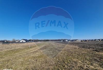 Teren de 2002 mp, în Hemeiuș - 6