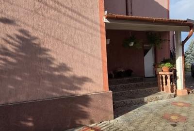 Casa spatioasa cu piscina, crama si teren generos – zona Aurel Vlaicu - 19