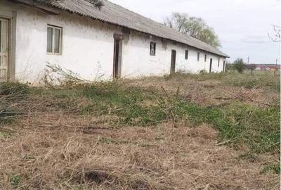 Spațiu comercial, de 450 mp, în Dracea - 1