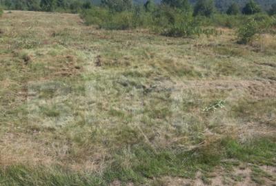 Teren extravilan 3300 mp, Car?i?oara- Set - 6