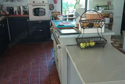 Casa cu peste 1HA pamant in Calimanesti - 8