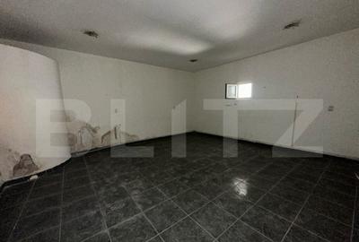 Spatiu comercial, 293 mp/129 mp, zona ultracentrala cu Vad - 7