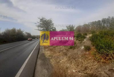Teren Construcții intravilan de 4800 mp, în Glina - 41