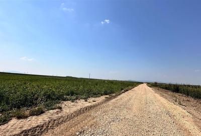 Teren extravilan 13200 mp.zona de case Sacele pretabil investitie!! - 2