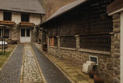 Case de vacanta zona Rasinari - 1