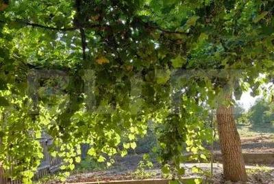 Casă cu 2 camere cu Teren 2400 Mp în Central - 8