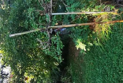 Casa 4 camere Muncitoresc redusa cu 30 mii din pre? ini?ial negociabil - 16