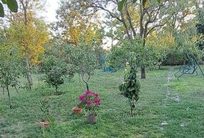 Gospodarie (casa si teren) com. Gura Vadului, Prahova - 9