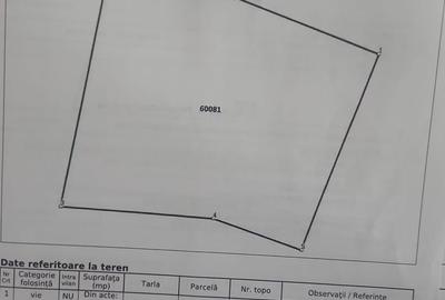 Teren de 550 mp, în Poieni - 4