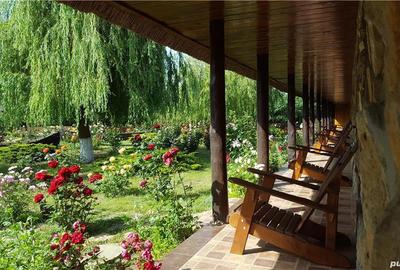 Casă cu 6 camere în Plopul - 5