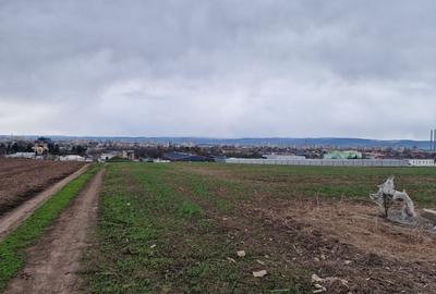 Teren agricol intravilan de 10000 mp, în Vest - 6