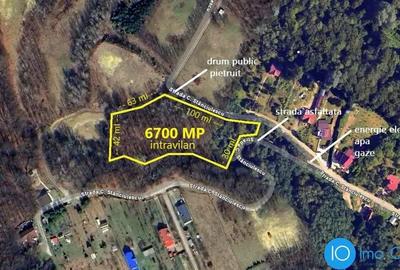 TEREN 6700 MP, INTRAVILAN LANGA PADURE - 2
