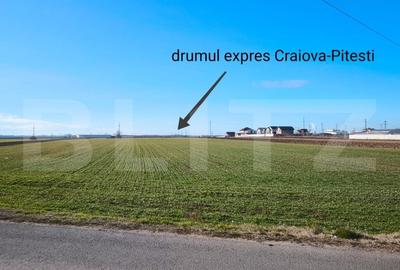 Teren Construcții intravilan de 10000 mp, în Ghercești - 2