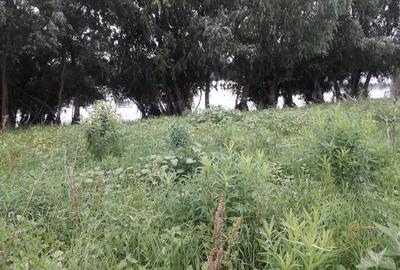 Teren Construcții intravilan de 2600 mp, în Murighiol - 3