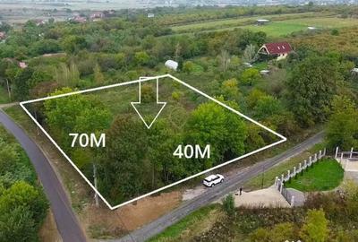 Teren în Viile Satu Mare - 4