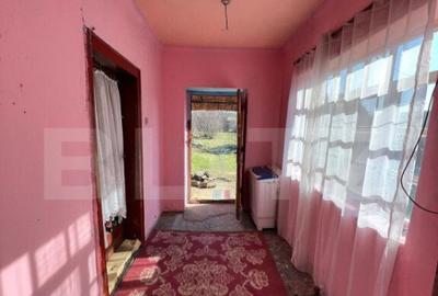 Teren ?i construc?ii 60 mp, zona strada Botizului - 11